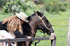 Argentina-Cordoba/Mendoza-Estancia & Paso Stud Farm at San Pedro Norte